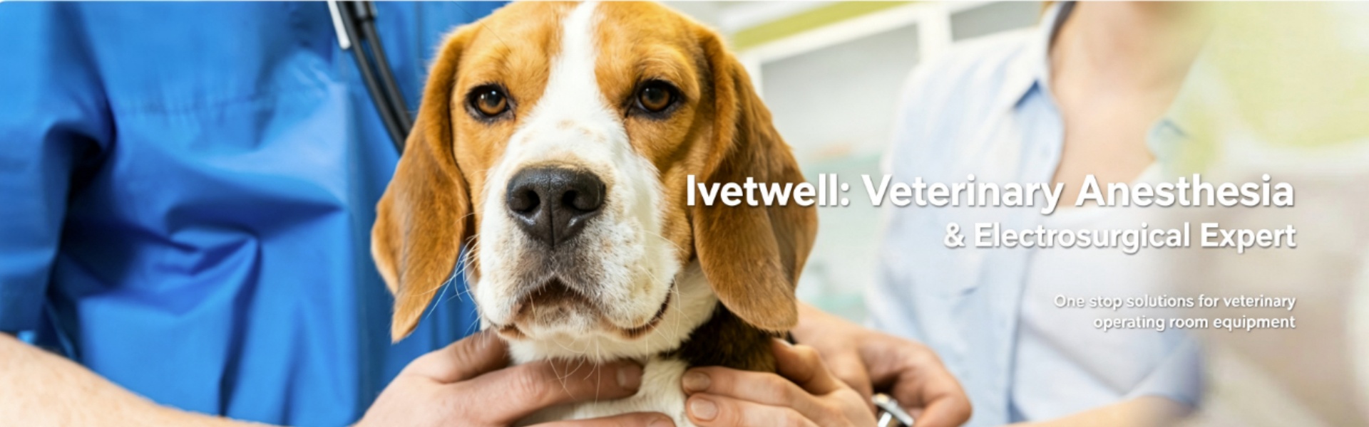 Veterinary Anesthesia Machine