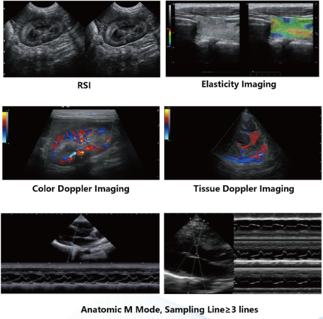 WMV-P60-VET Veterinary Color Doppler Ultrasound System