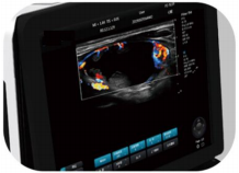 WMV-P8-VET VETERINARY COLOR DOPPLER ULTRASOUND SYSTEM