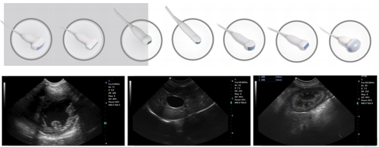 WMV-L5-VET VETERINARY COLOR DOPPLER ULTRASOUND SYSTEM