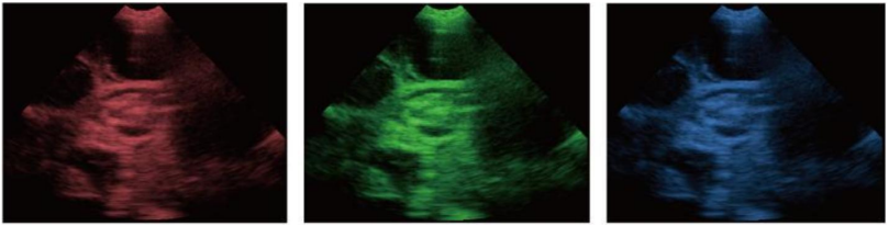 WMV-S1 VETERINARY ULTRASOUND DIAGNOSTIC SYSTEM