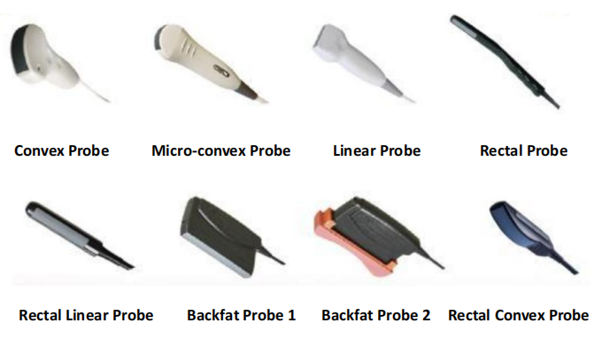 WMV-S1 VETERINARY ULTRASOUND DIAGNOSTIC SYSTEM