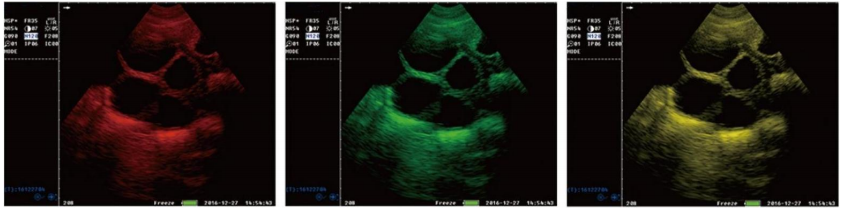 WMV-S0 VETERINARY ULTRASOUND DIAGNOSTIC SYSTEM
