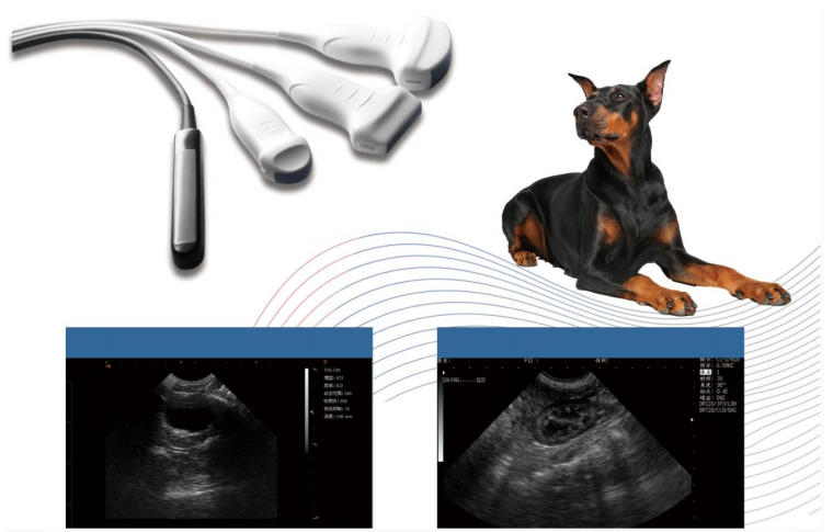 WMV-MT15 VETERINARY ULTRASOUND DIAGNOSTIC SYSTEM