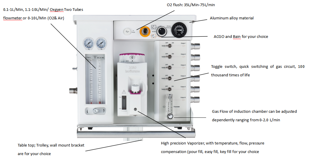Small Animal Veterinary Anesthesia Machine Hot sales Small Animal Veterinary Anesthesia Machine Hot sales