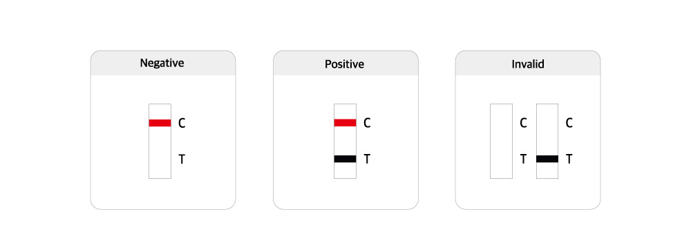 CCV Ag Rapid Test Interpretation CCV Ag Rapid Test Interpretation