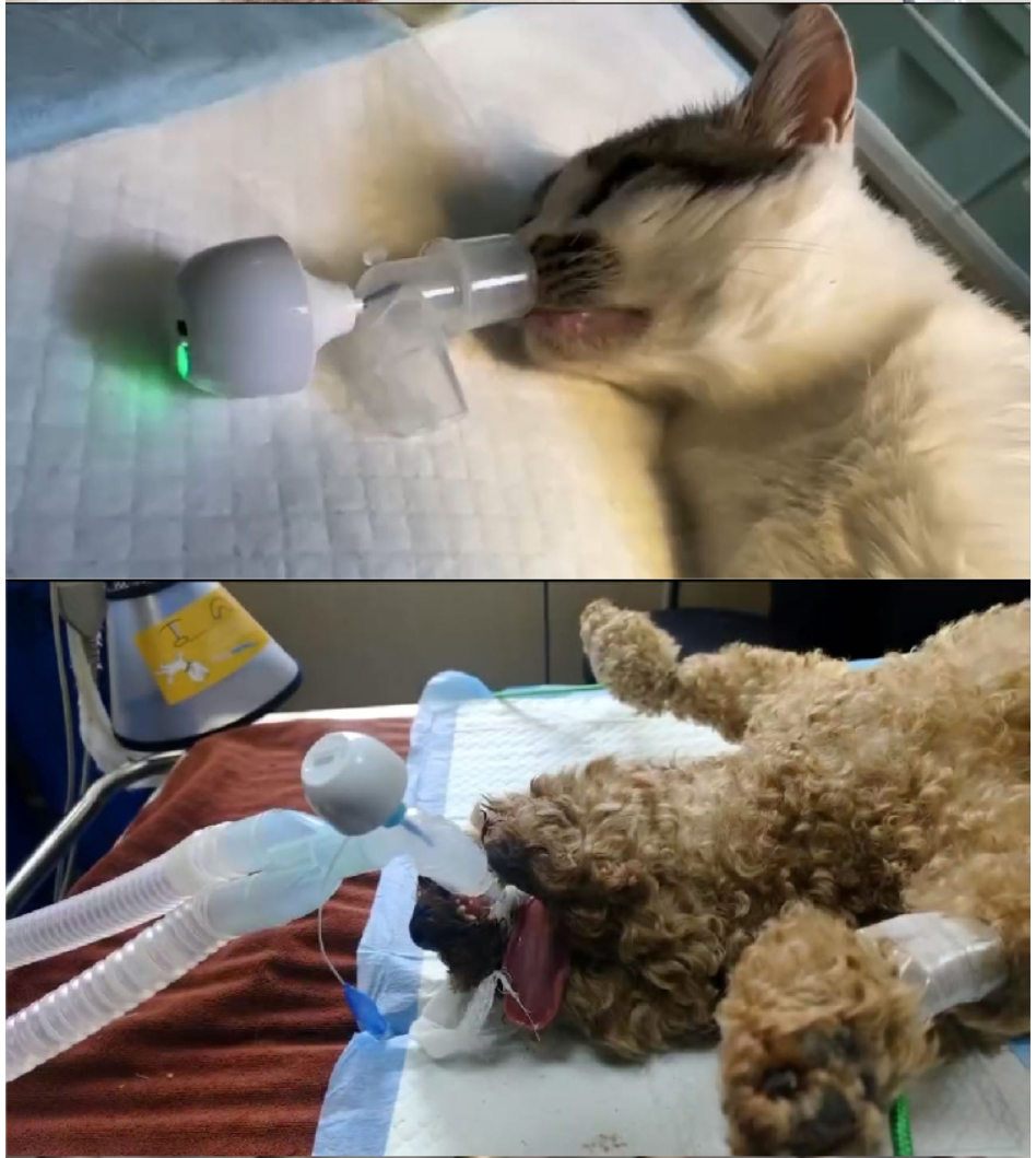 Pet Breathe Asphyxia Alertor