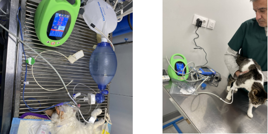 Blood Pressure Monitor for animal hospital