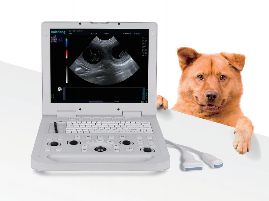 Veterinary color doppler Diagnostic System wholesales