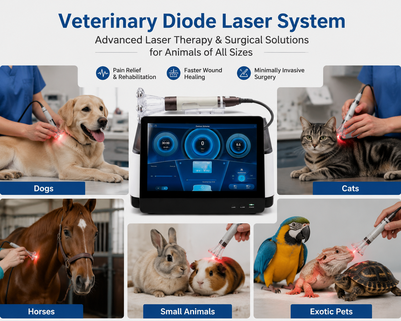 Veterinary Diode Laser System for Dogs Cats and Other Animals