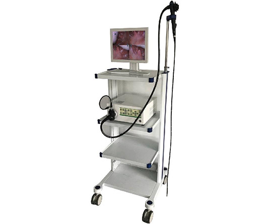 Veterinary Endoscopy