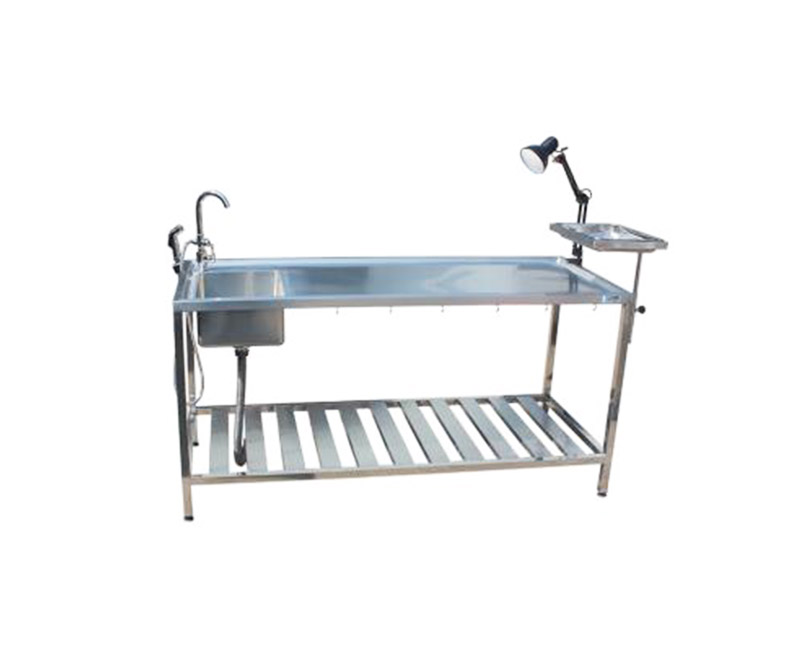 WMV625A Series Veterinary Anatomy Table