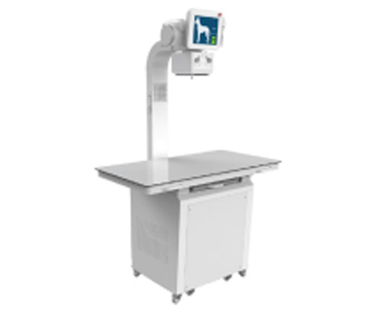Veterinary X Ray Imaging