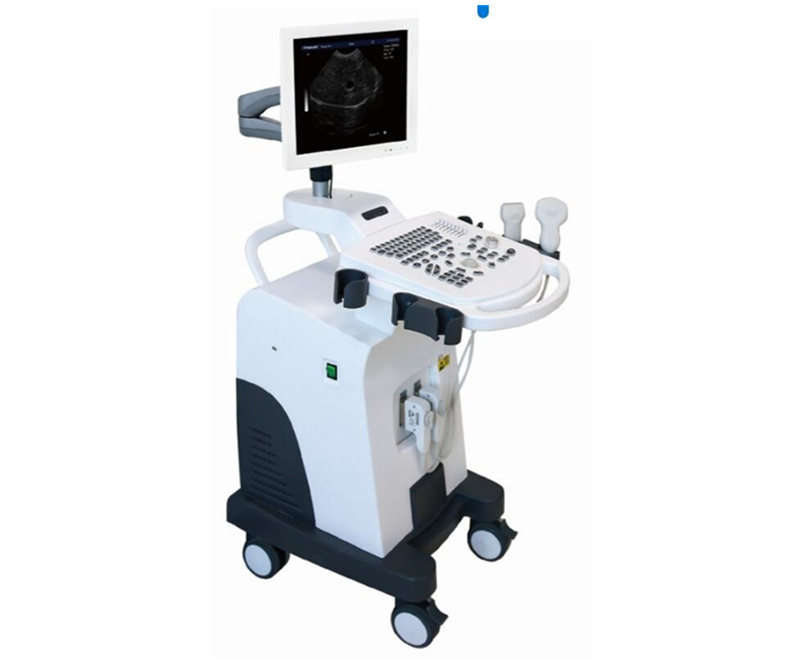 WMV-500CT Veterinary trolley color doppler