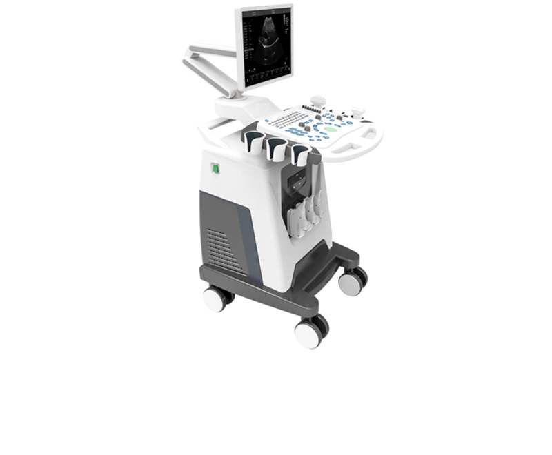 WMV-300BWT Veterinary B/W Trolley Ultrasound Scanner