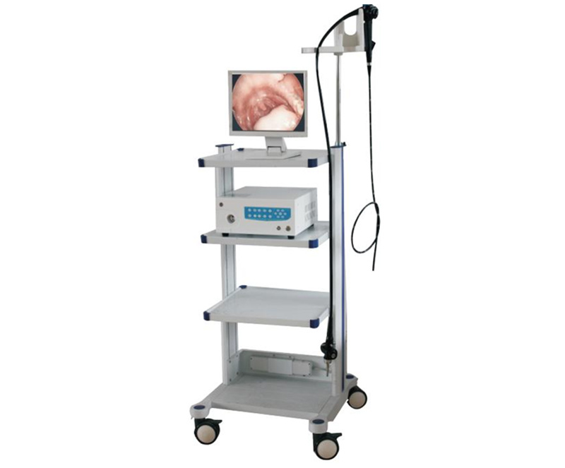 WMV6000A Veterinary endoscope