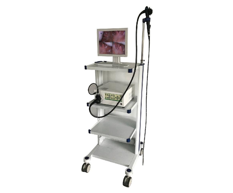 WMV-6000B Veterinary endoscope