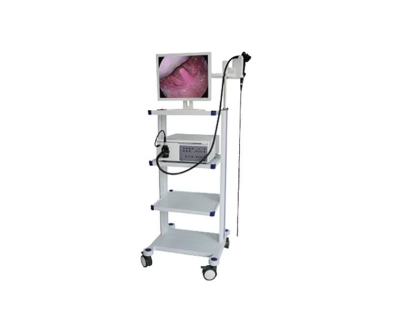 WMV-6000C Veterinary endoscope