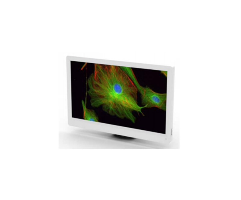 BLC-600 HD LCD Digital Camera