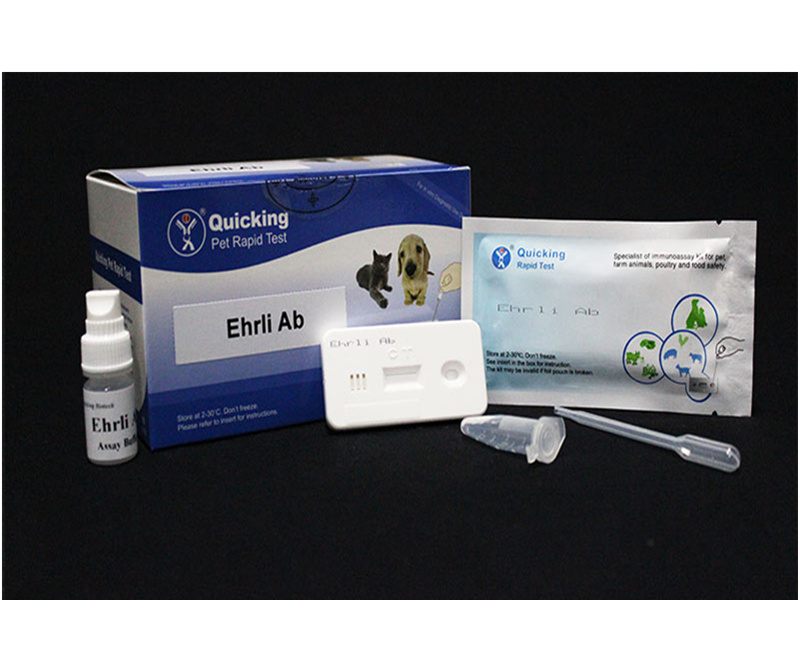 E.canis Ab Rapid Test