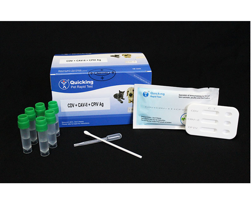 CDV+CAV-II+CPIV Ag Triple Rapid Test