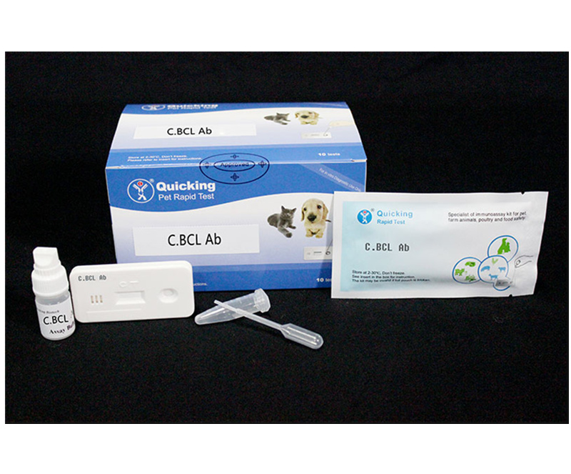 C.Brucella Ab Rapid Test