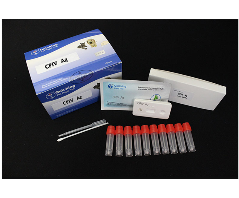 CPIV Ag Rapid Test
