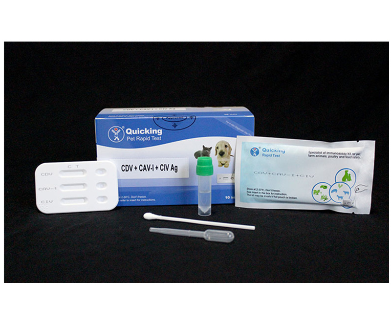 CDV+CAV-I+CIV Ag Triple Rapid Test