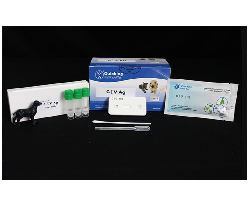 CIV Ag Rapid Test