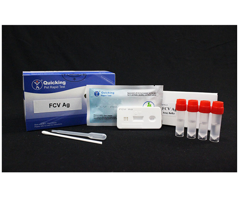 FCV Ag Rapid Test