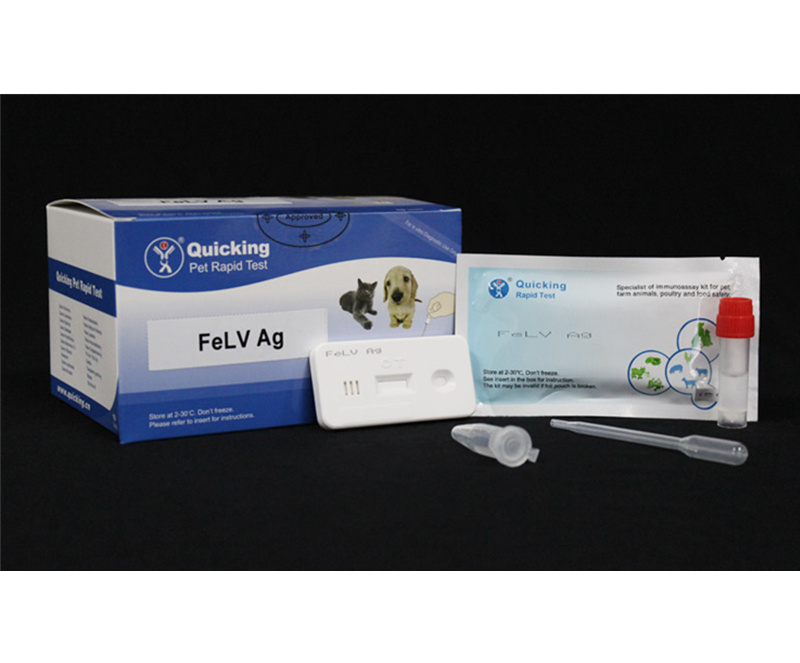 FeLV Ag Rapid Test