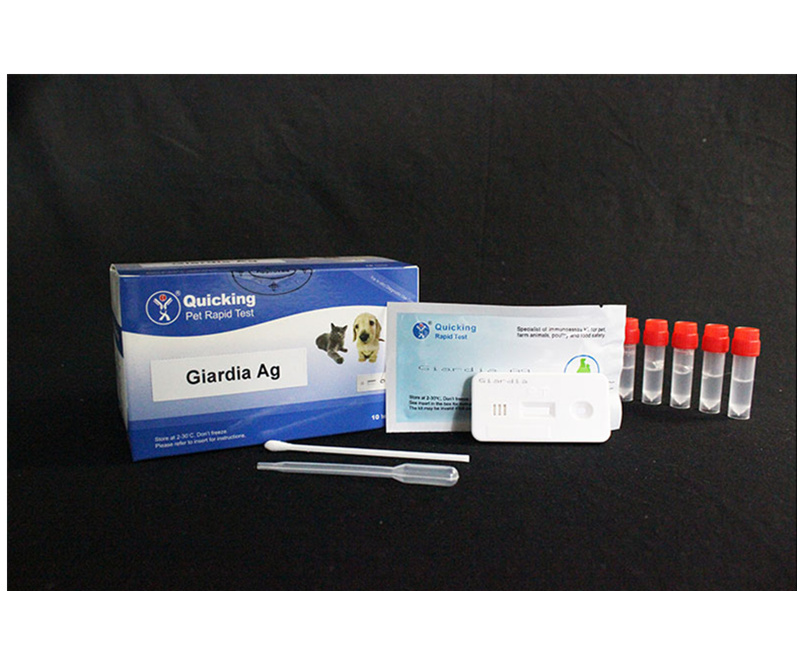 Giardia Ag Rapid Test
