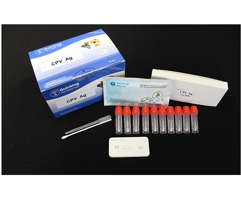 CPV Ag Rapid Test