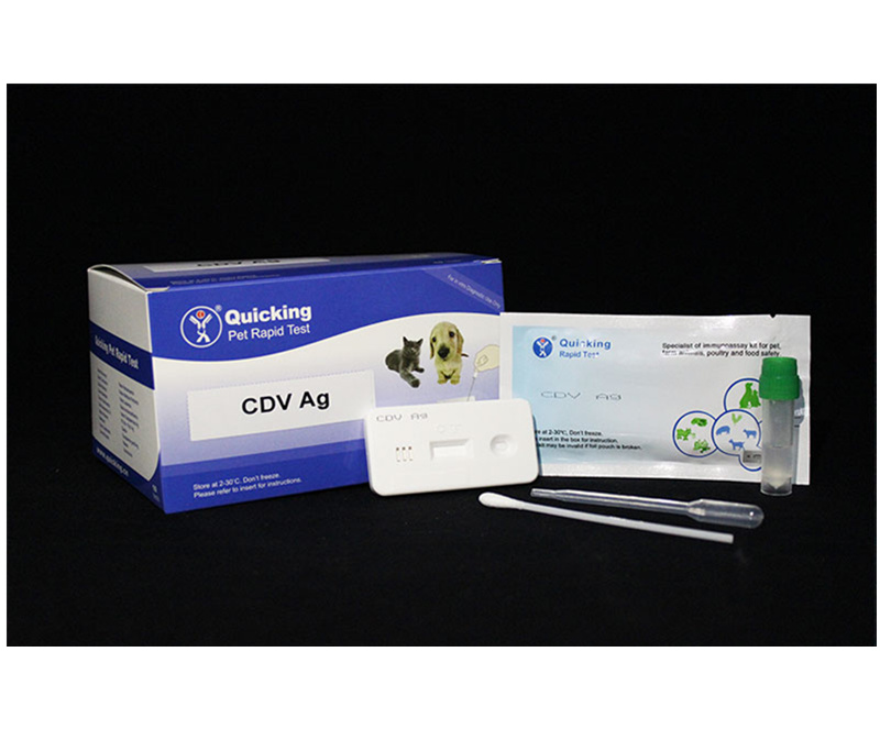 CDV Ag Rapid Test