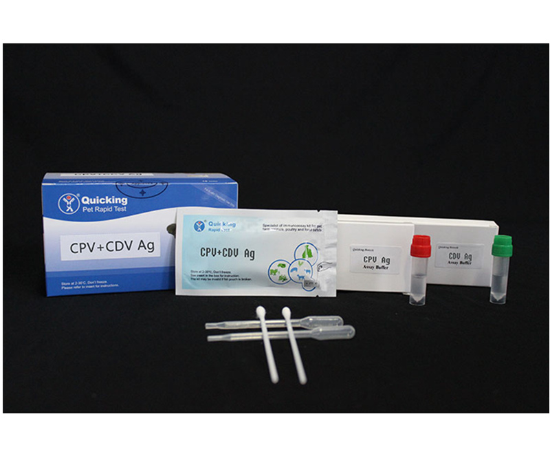 CDV+CPV Ag Combined Rapid Test