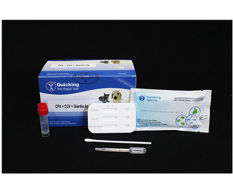 CPV+CCV+Giardia Ag Triple Rapid Test