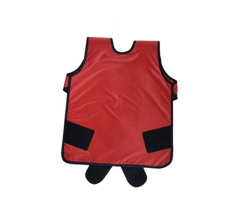 Lead vest apron dental radiology