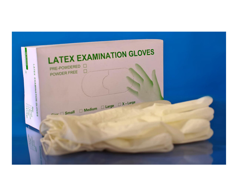 Latex Examination Gloves