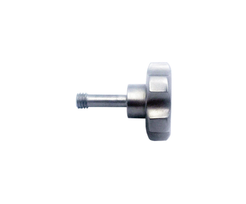 Replacement Hinge Screw