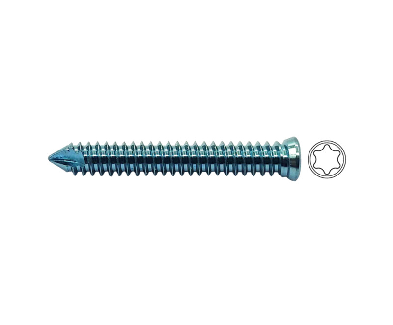 B4.0mm Locking Self Tapping Screws, T10 Torx Matching with ALPS 10/11.5