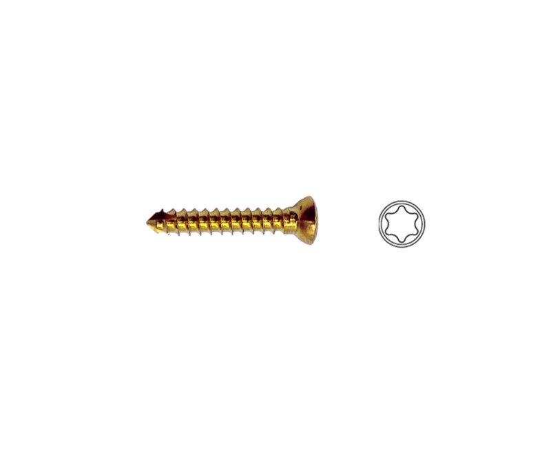 2.0mm Cortex Screw Self-tapping，T6 Torx Matching with ALPS 5/6.5 and TTA System