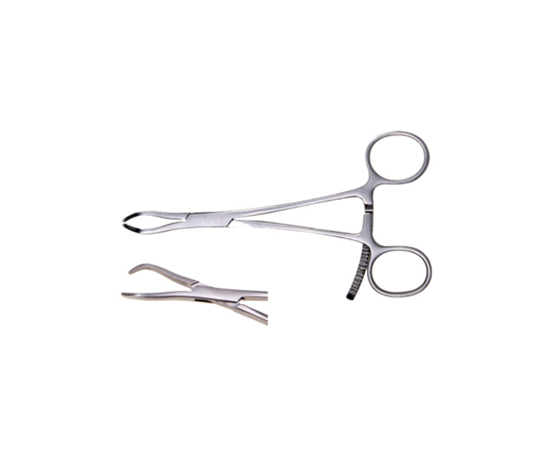 Bone Holding Forceps with Jaws