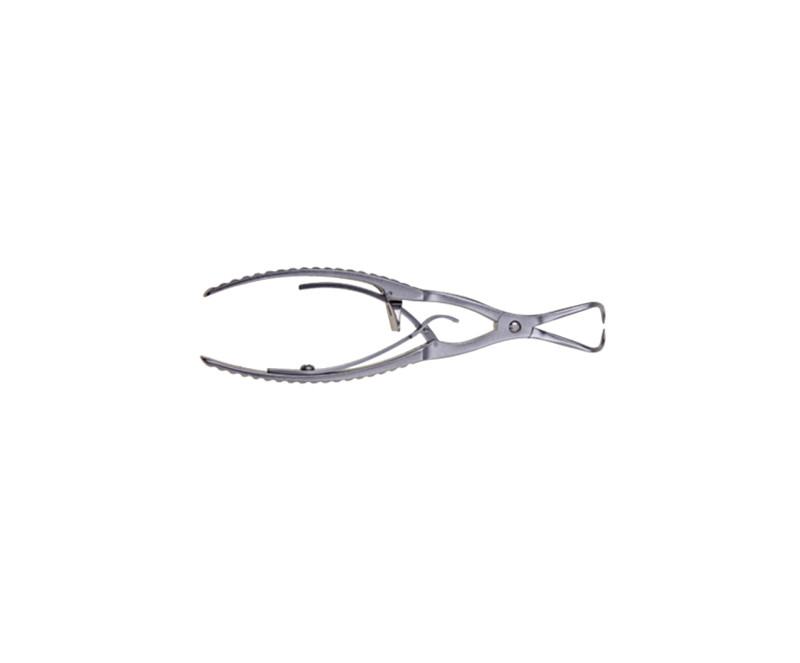 Reduction Forceps with Points