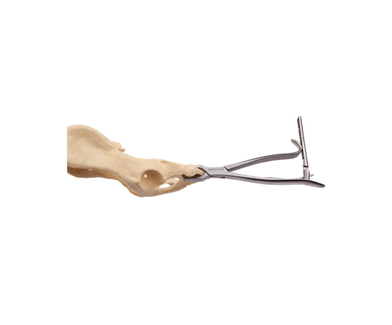 KERN Bone Holding Forceps