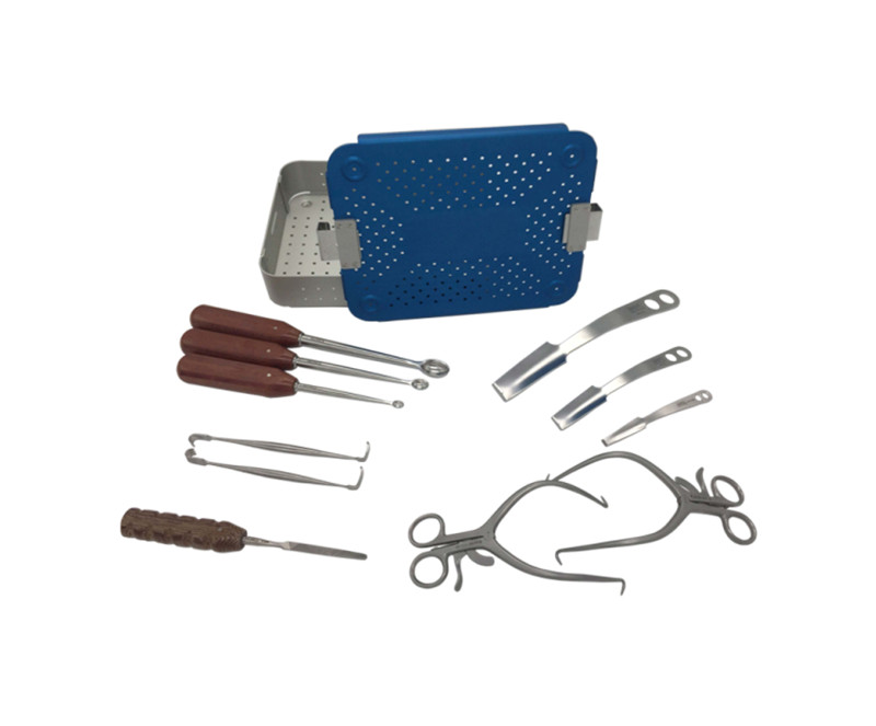 Femoral Head/Neck Excisional Arthroplasty