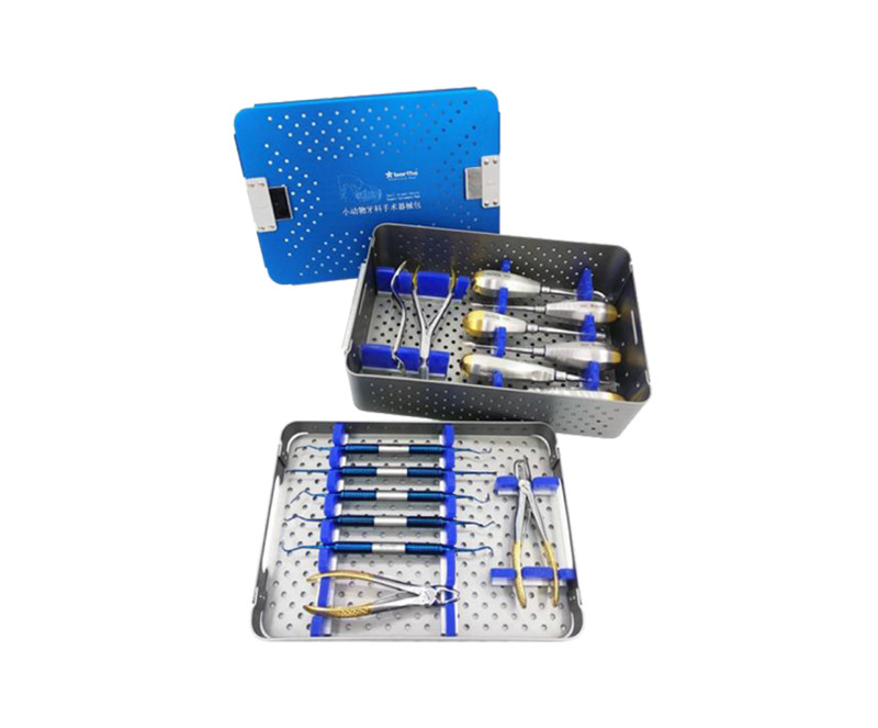 Small Animal Dental Instruments Set
