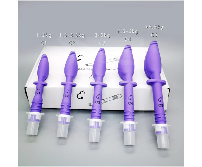 V-GEL cat tracheal intubation V-GEL cat tracheal intubation