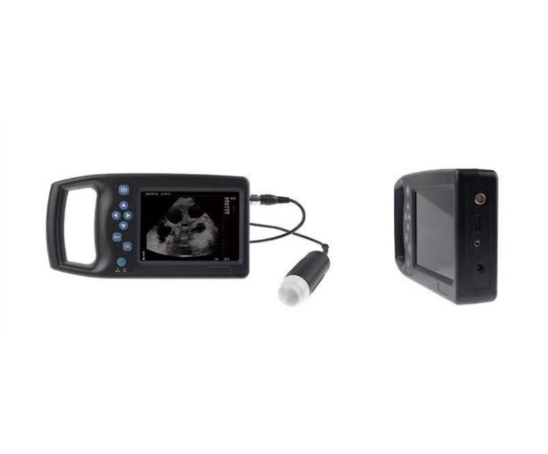 MECHANICAL SCANNING VETERINARY ULTRASOUND WMV-M6