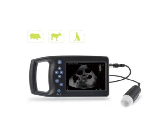 MECHANICAL SCANNING VETERINARY ULTRASOUND WMV-M6