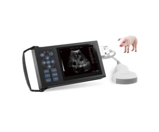 FULL DIGITAL VETERINARY ULTRASONIC DIAGNOSTIC IMAGING SYSTEM WMV-A10